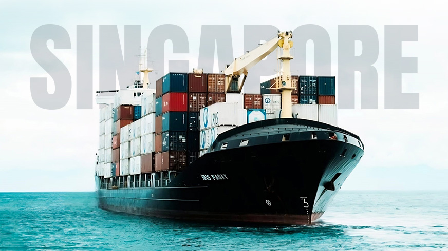 Reliable Maxi Cab Transport Service for Tuas South Boulevard, Singapore