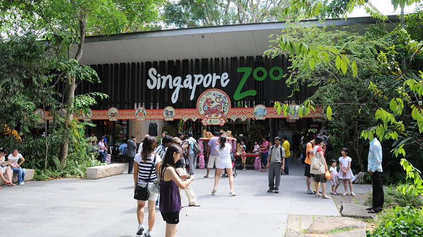 Maxi Cab Service to Singapore Zoo – Comfortable Family & Group Travel in Singapore